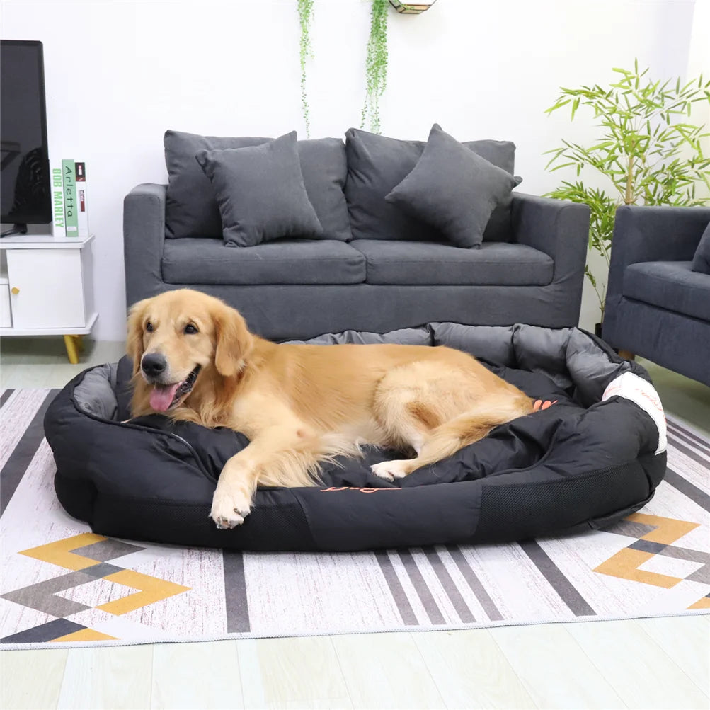 Calming Dog Bed with Removable Cushion for All Seasons