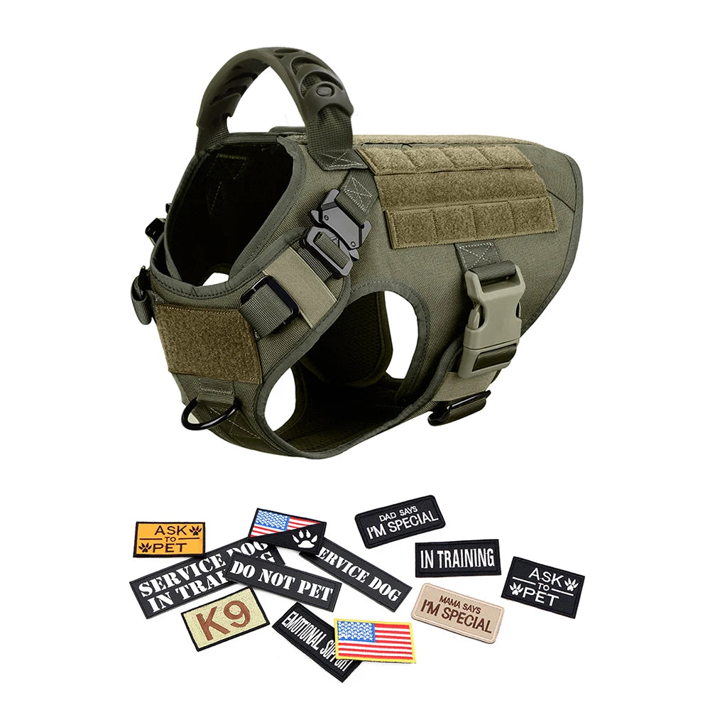 Tactical Dog Harness Set with Leash and Patches for Training