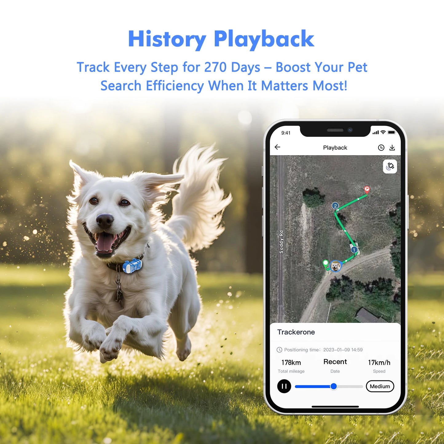 4G GPS Pet Tracker with App Live Tracking and Alerts