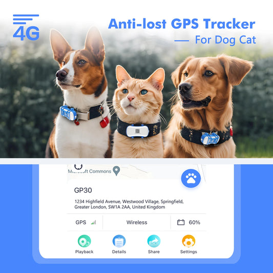 4G GPS Pet Tracker with App Live Tracking and Alerts