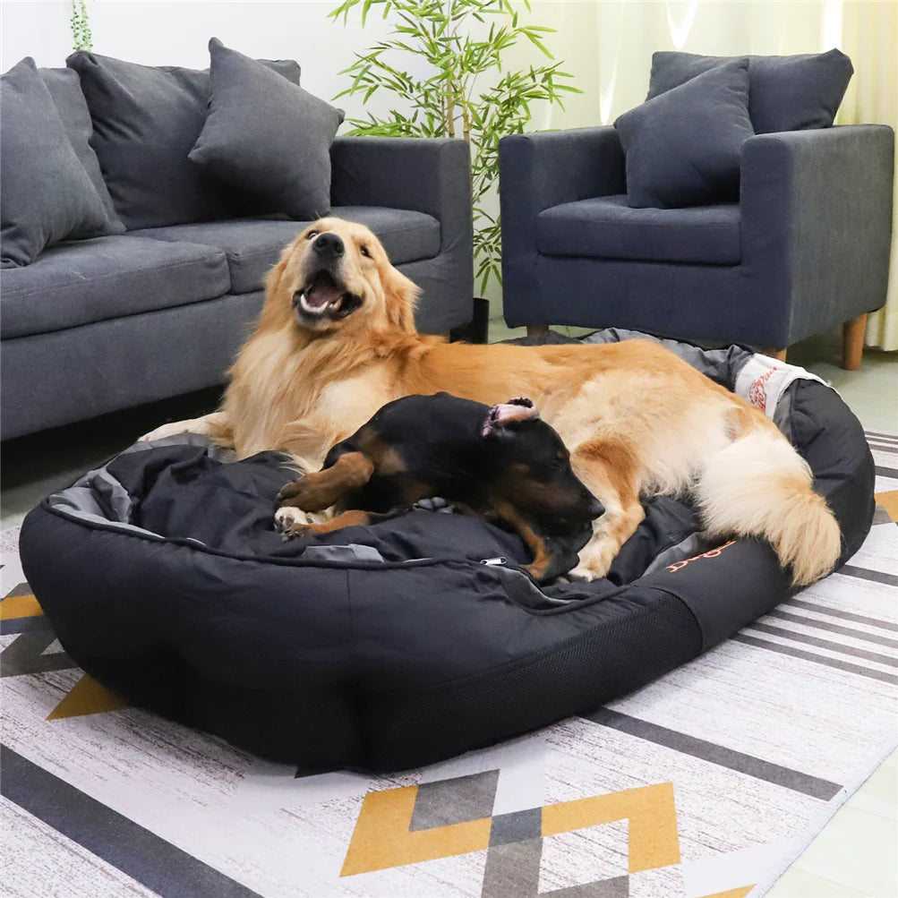 Calming Dog Bed with Removable Cushion for All Seasons