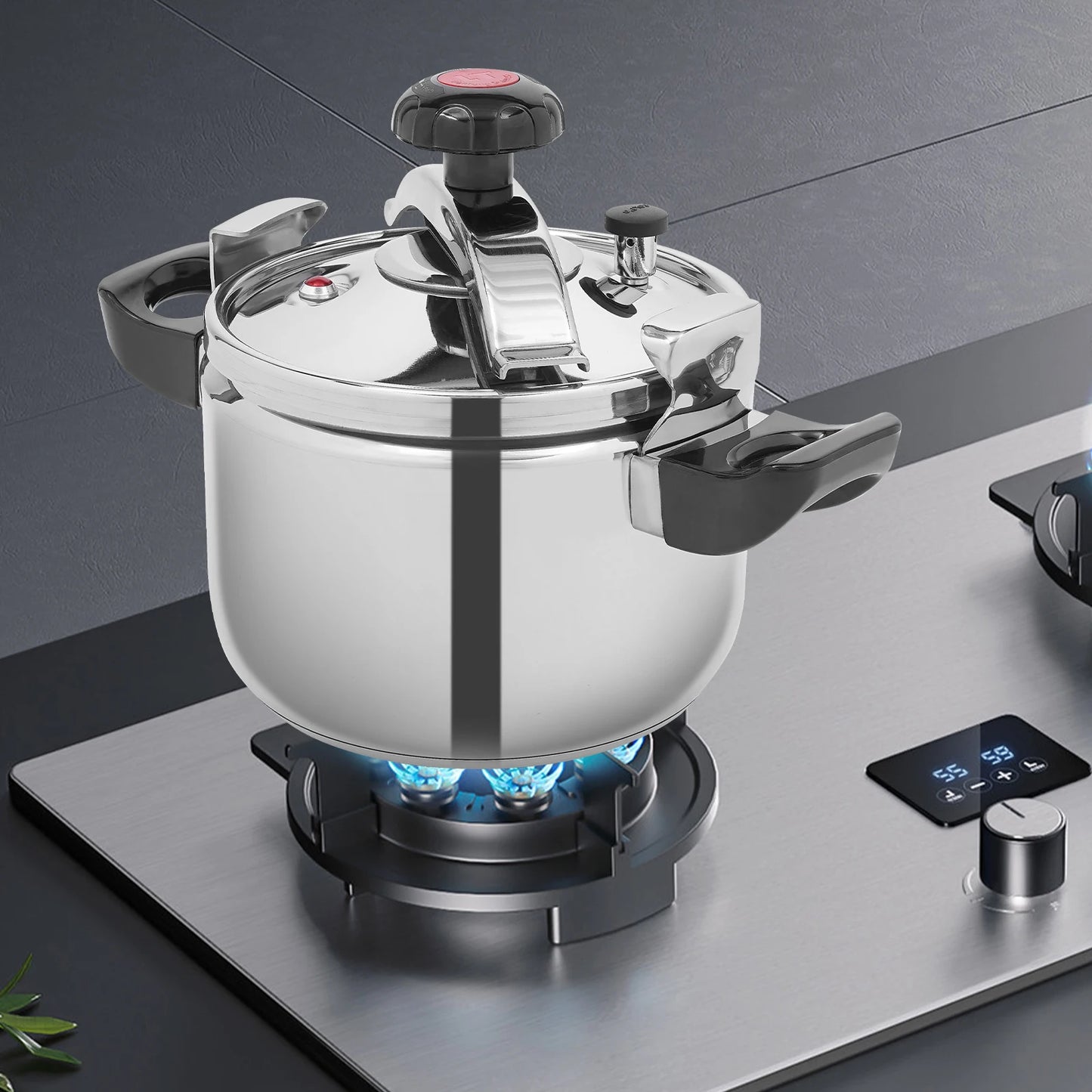 Stainless Steel Pressure Cooker for Quick Family Meals