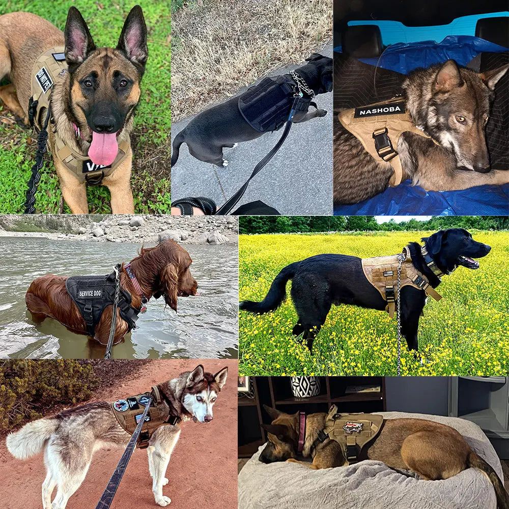 Tactical Dog Harness Set with Leash and Patches for Training